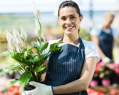 <span style="font-weight: bold;">Micro</span>&nbsp;